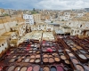 Tannerie de fes